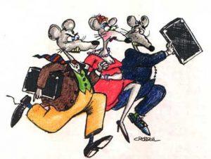 Why the Engineering Rat Race?