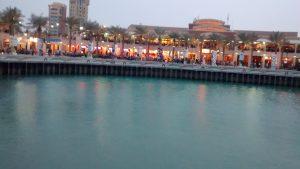 The 2 Months of Craziness Called Internship - M H Alshaya PPO Holder's Account