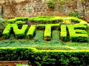 NITIE - God's Own Campus