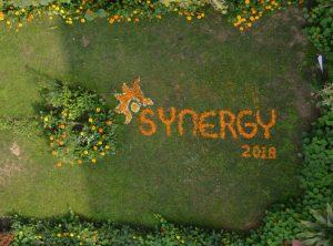 Synergy – The Annual Management Fest Of MBA (IB/HRD), Delhi School Of Economics