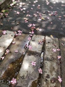 “Re-Imagining Futures” - My TISS Story