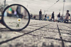 A Month Inside An IIM