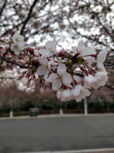 Building Business Through Relationships - An IIM Shillong Student's Experiences In China