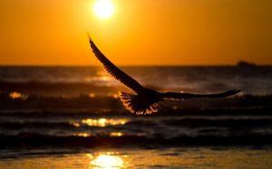 My Mahindra Diaries – Chapter 3 – Perfectly Cooked Rise