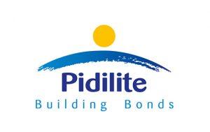 Summer Internship Experience At Pidilite - A Journey Against All Odds And My Learnings From It