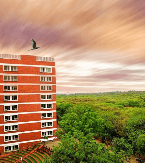 Unique Things About International Management Institute, New Delhi