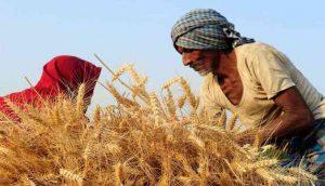 What The Government Is Missing In The Farmers' 2022 Plan