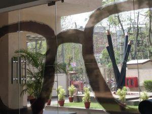 Build Your Own Ladder - Summer Internship Experience At Arc Worldwide (Publicis Communications)