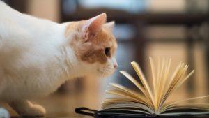 How I Worked On Improving VARC | Tips By Ankit Gupta, IIM L