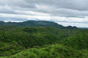 What Does IIM Udaipur Teach You?