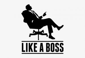 Like A Boss: What Every Early Career Professional Must Know